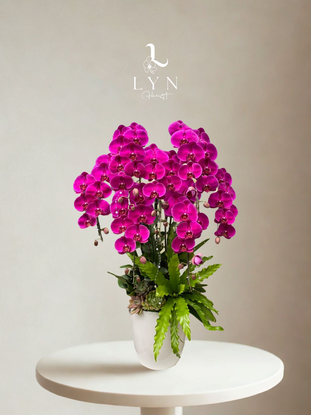 Chậu Hoa Lan Tím Ớt Đỏ